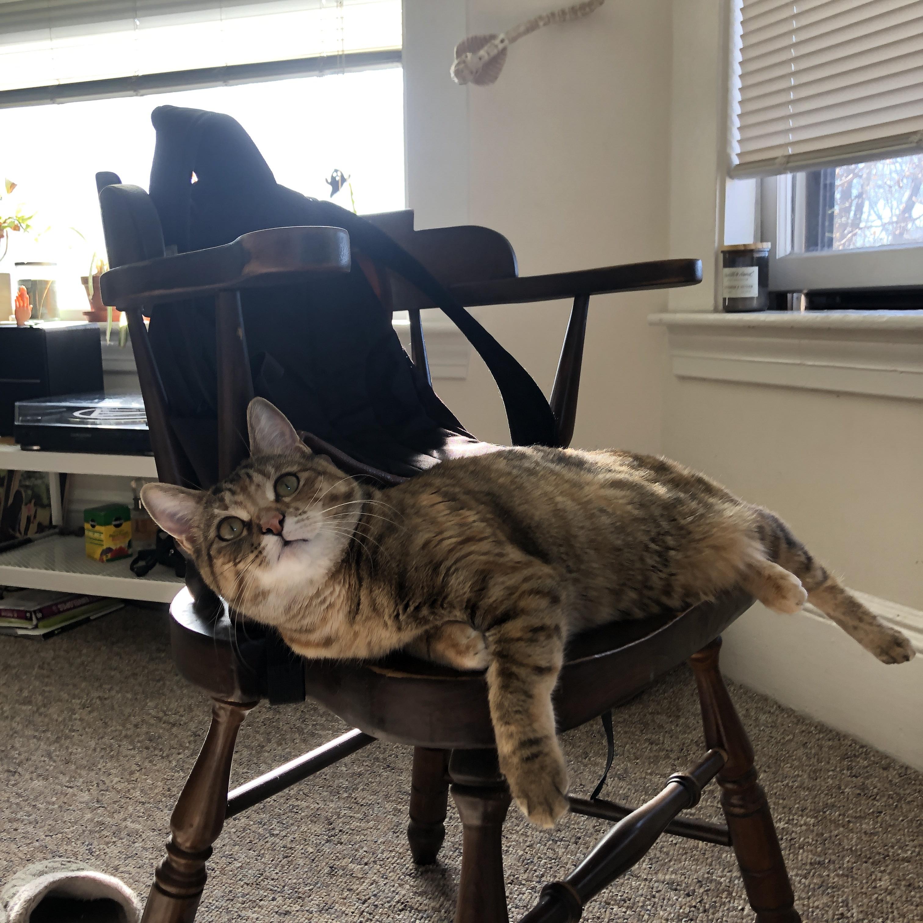 开云-绿茵车神，当奥纳纳用扑救思维主宰F1终极之战