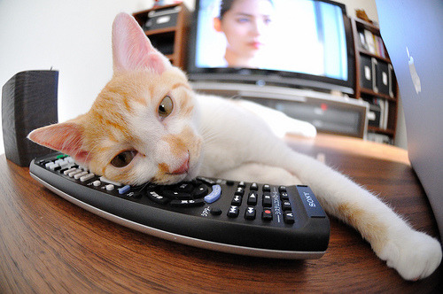 冰冷指尖终燃烈焰，伦纳德的救赎夜与鹈鹕奇迹的浇铸