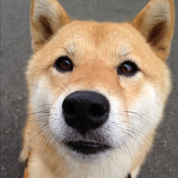 开云APP-神兵天降!C罗点射+双响助皇马客场力克瑞典 争冠战提前锁定胜局