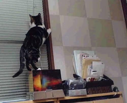 开云体育中国-冰与火的平行宇宙，戈贝尔与热火鏖战吉林队的硬仗诗篇