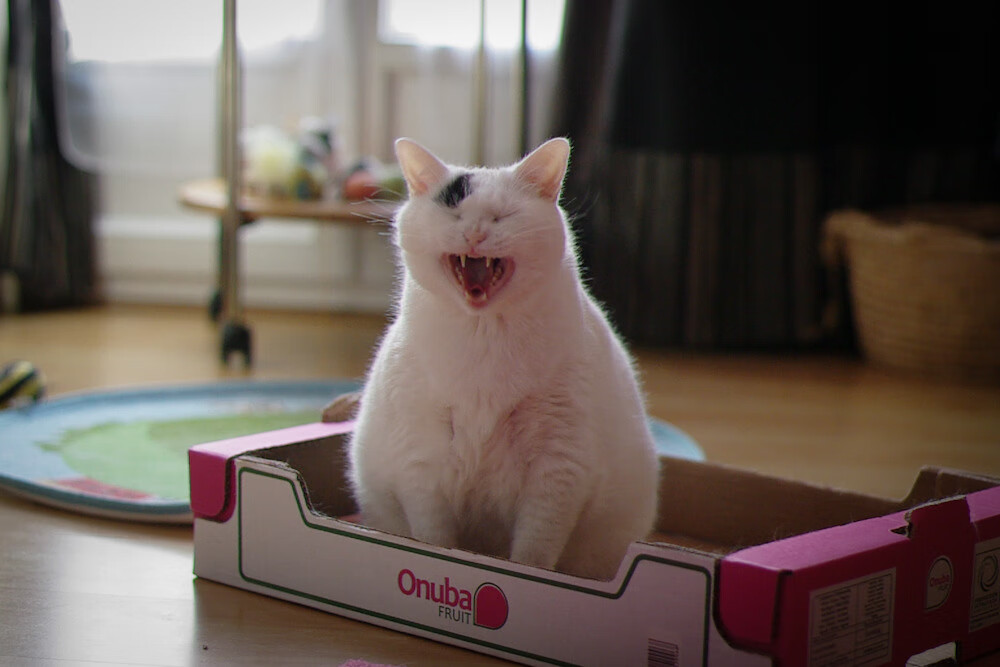 开云体育在线-铁幕下的逆袭,富安健洋如何以血肉之躯筑起阻挡德国巨人的防线