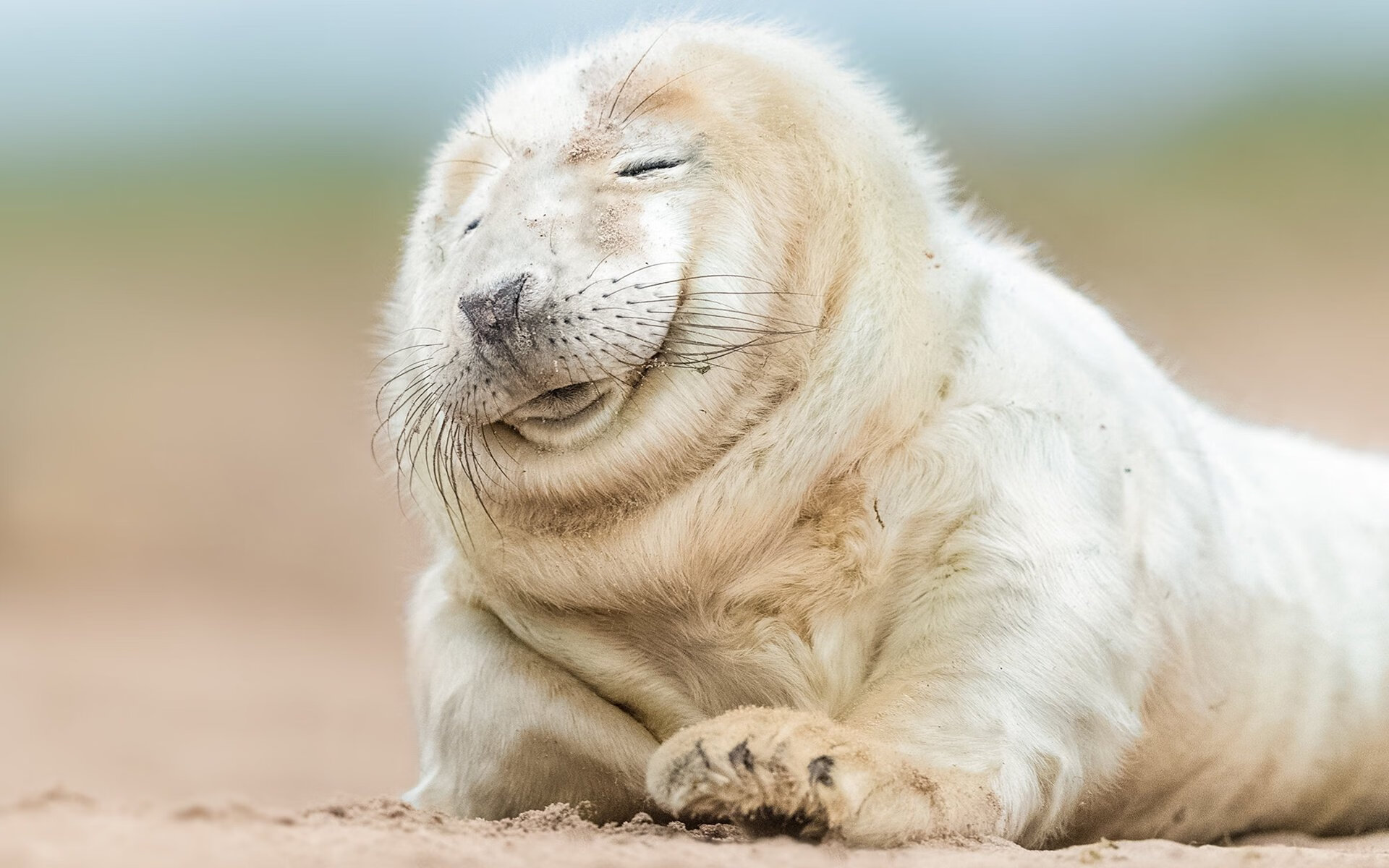 唯一对决，辽宁队梦幻联动尼克斯，哈利伯顿的助攻刀锋切开胜负天堑