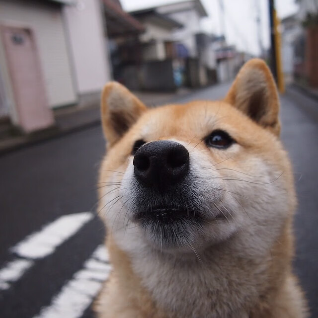 绿茵场上的文明碰撞，当欧冠级别的争议笼罩英喀大战