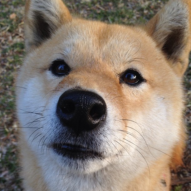 开云体育中国-莱万刀锋下的意外,哥斯达黎加如何让马赛的欧冠梦碎