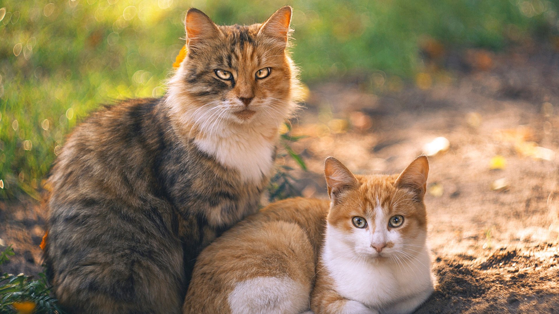 7.3秒,从地狱到天堂!布伦森神级三分上演魔幻逆转