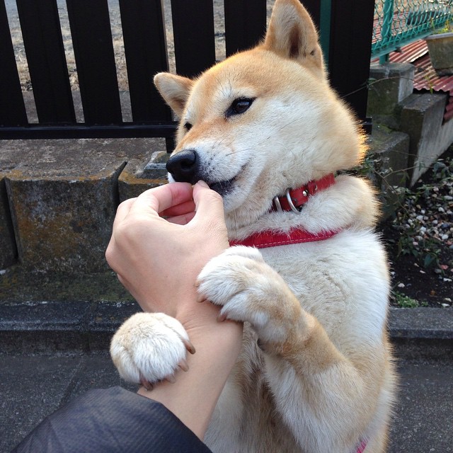 开云下载-巨龙苏醒还是虚火?曼联末节带走中国,凯塞多成关键先生!