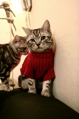 开云体育平台APP-孤星难燃休城夜,范弗利特50分狂飙,却遭迈阿密焚城之火集体冰封