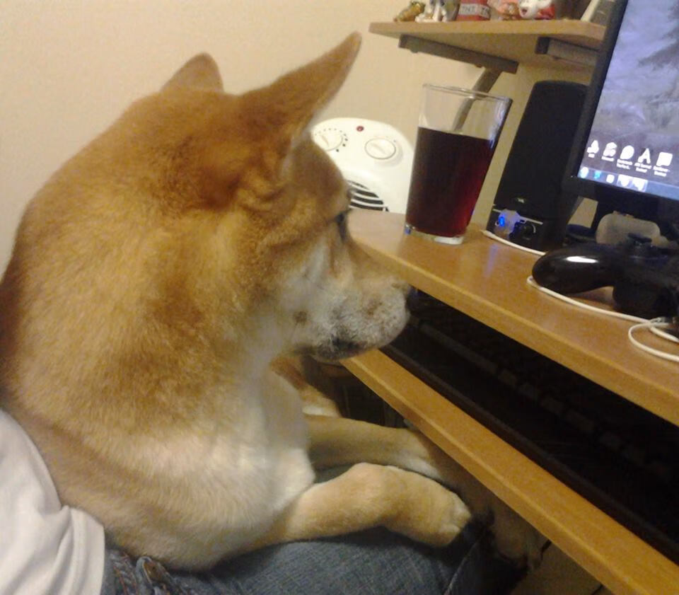 平行时空的绿茵与冰场，当西班牙德比遇见北美激情