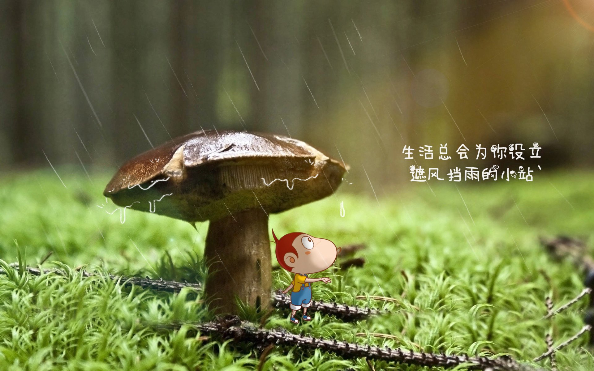 开云体育入口-唯一性的宿命