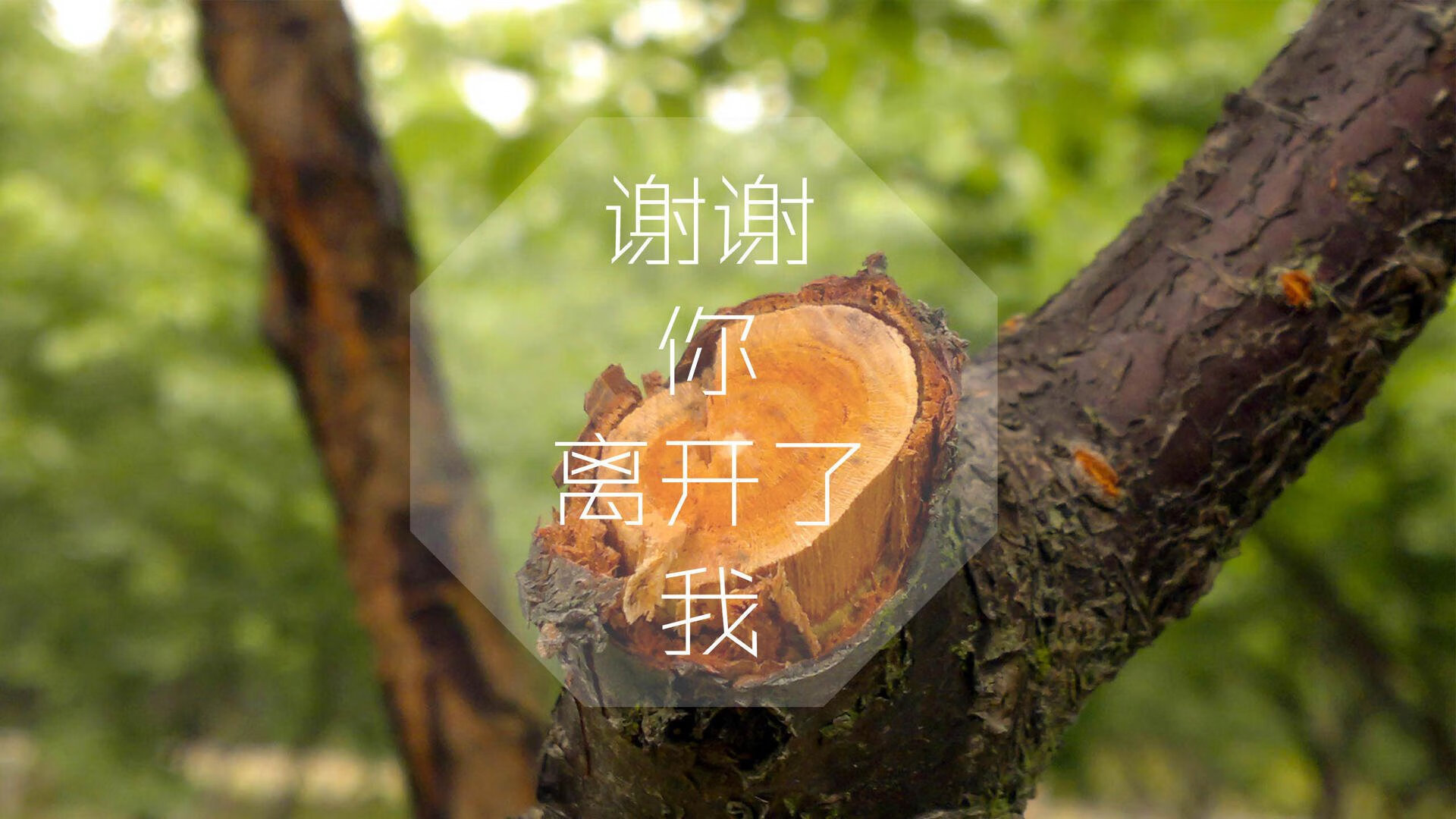 开云体育平台APP-冰与火的绝唱，2026世界杯，历史重演之夜，姆巴佩的宿命与冰岛的奇迹
