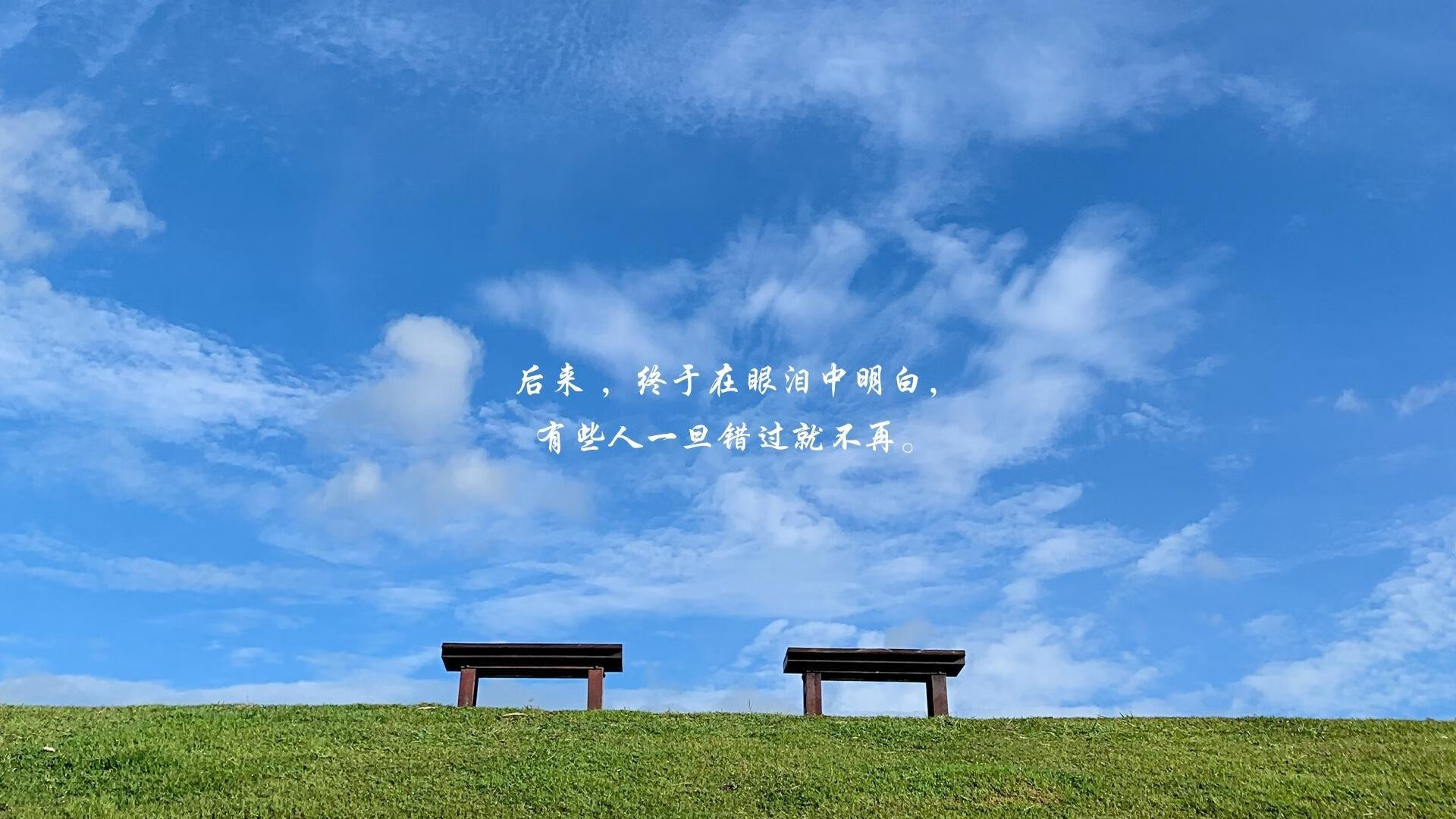 橙白风暴，2026世界杯黑马之战，库尔图瓦神级扑救击碎波兰童话